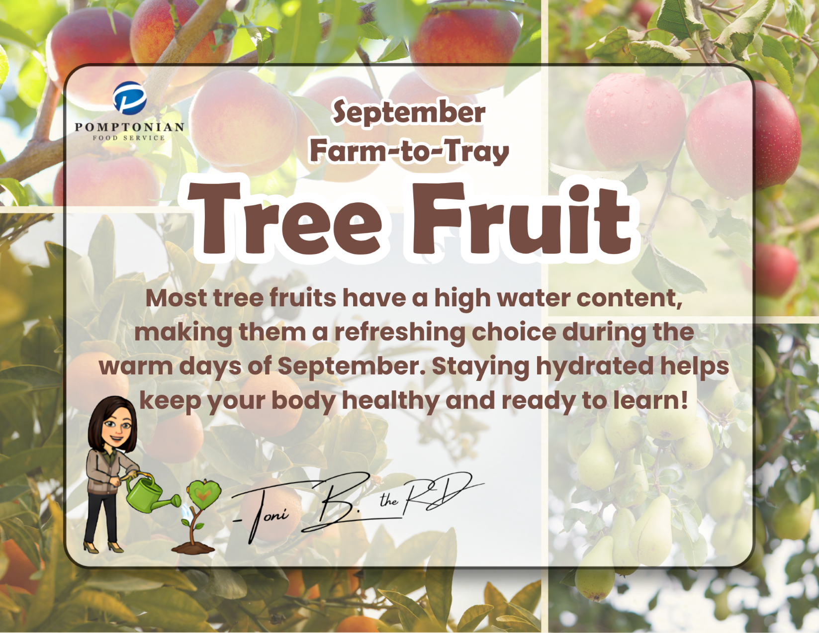 Farm to Tray Image2
